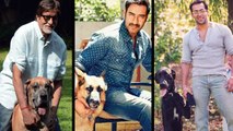 Bollywood Celebrities Who Love Their Pet Dogs
