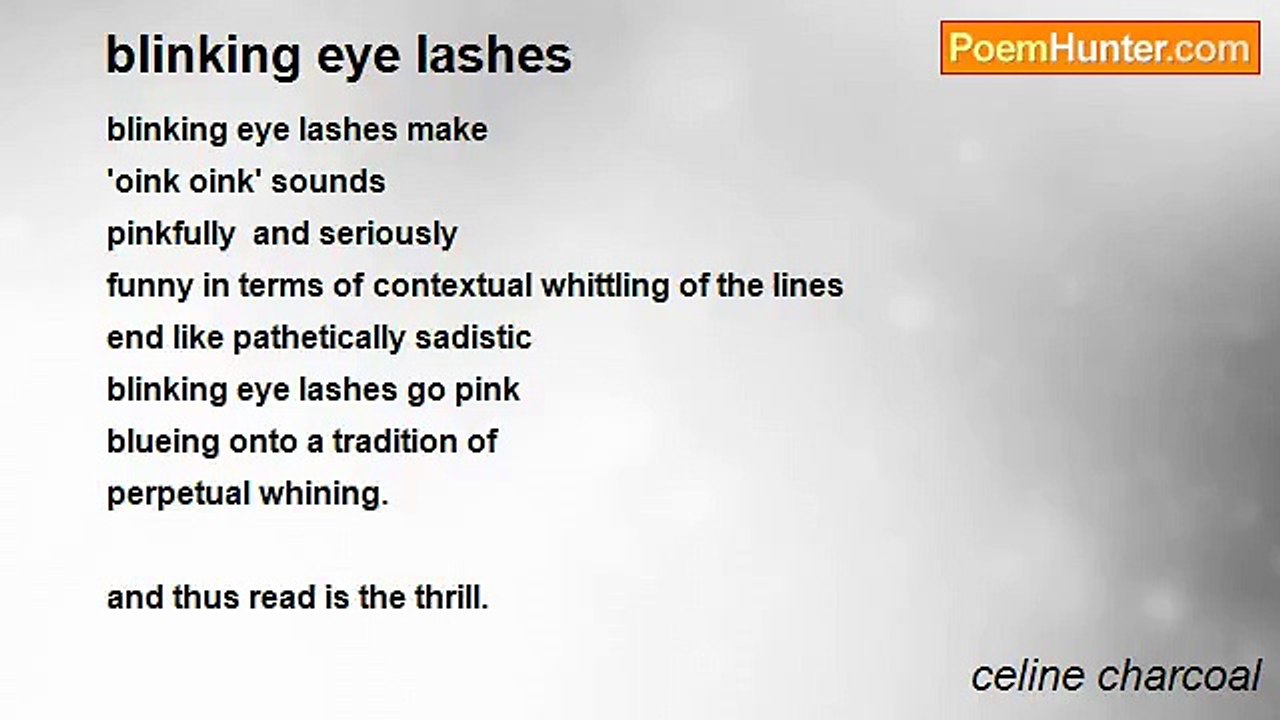 celine charcoal - blinking eye lashes