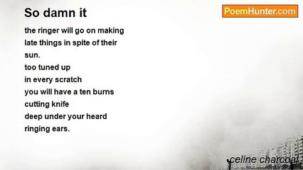 celine charcoal - So damn it