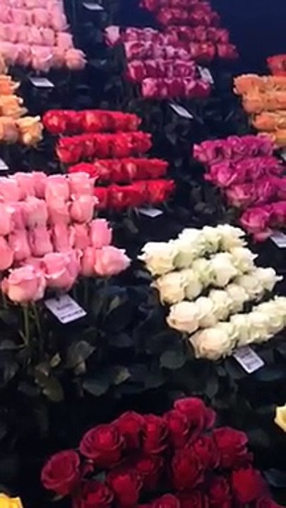 Doğum günü çiçek siparişi