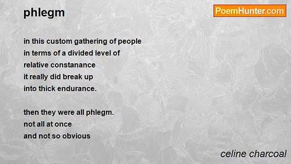 celine charcoal - phlegm