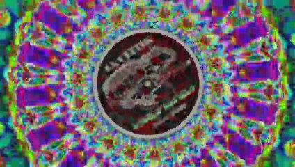 Ninjatron - Combat Jacket VIP v1.4