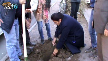 Ağrı Belediyesi 50 Bin Fidan Dikme Projesi  Başlattı