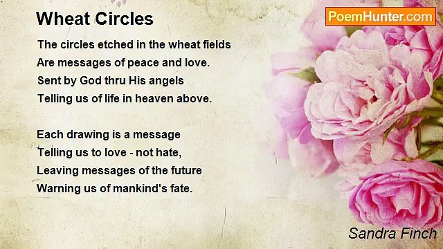 Sandra Finch - Wheat Circles