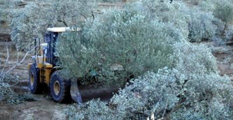 Kolin Grubu: Hukuka Uygun Hareket Edeceğiz