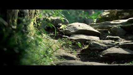 Teaser - Minuscule: La vallée des fourmis perdues