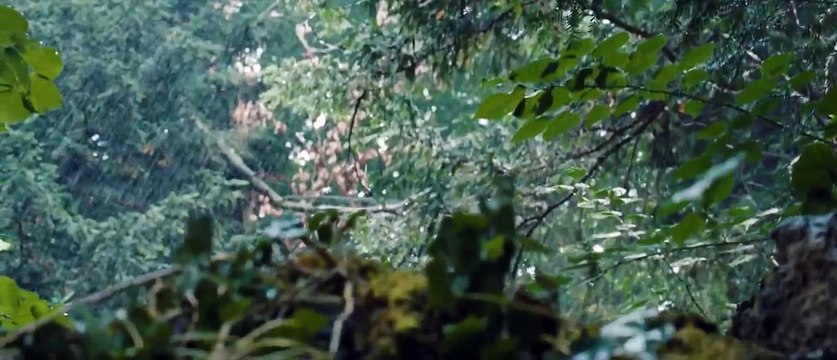 Ma premiere fois Bande Annonce