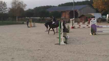 DBC MAZEROLLES / JUMENT 6 ANS  A VENDRE. 06-79-56-16-53