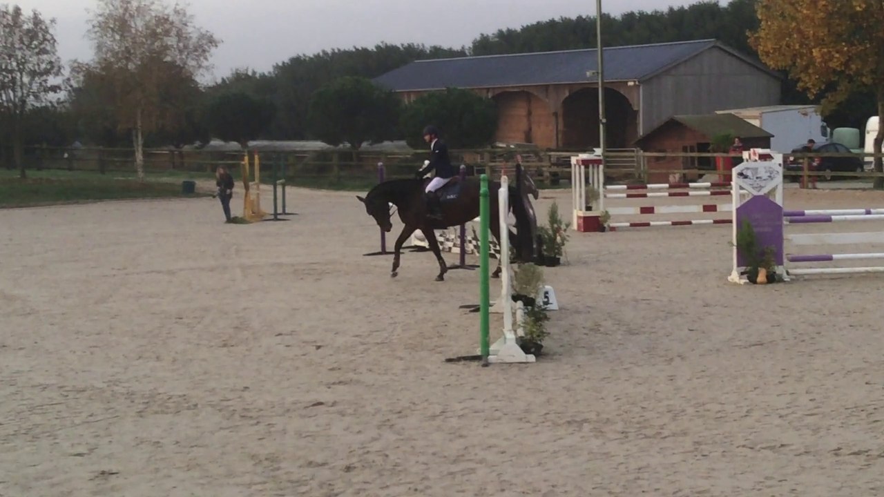 DBC MAZEROLLES / JUMENT 6 ANS  A VENDRE. 06-79-56-16-53