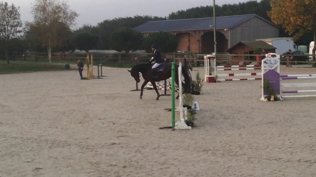 DBC MAZEROLLES / JUMENT 6 ANS A VENDRE. 06-79-56-16-53