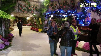 VIDEO. Au coeur des caves de Villentrois, poussent les fleurs