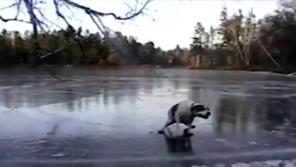 Goodyear : Slipping on the ice