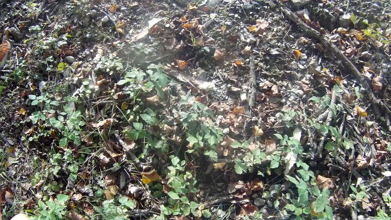 BDE GC Grenoble - Journée d'Intégration 2k14 (HD)