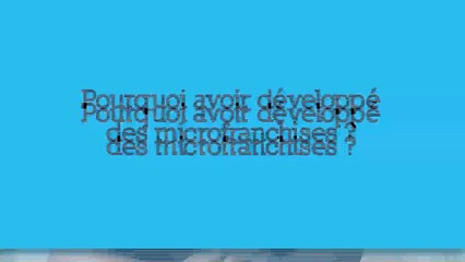 V7 - Microfranchise