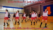 AKB48 - Skirt, Hirari [PV] [lizards@DEEP]