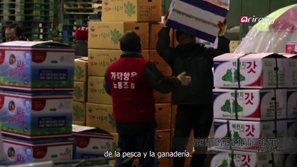 Semipermanent (Spanish) Ep16 Night, Owl