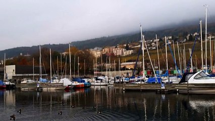 Million Scarlet Roses