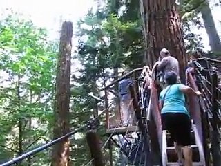 Capilano Bridge, Bridge