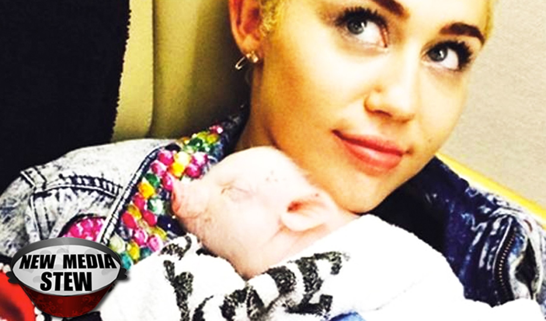 MILEY CYRUS: INSTAGRAM & TWITTER HATE for PAINTING PET PIG'S TOENAILS