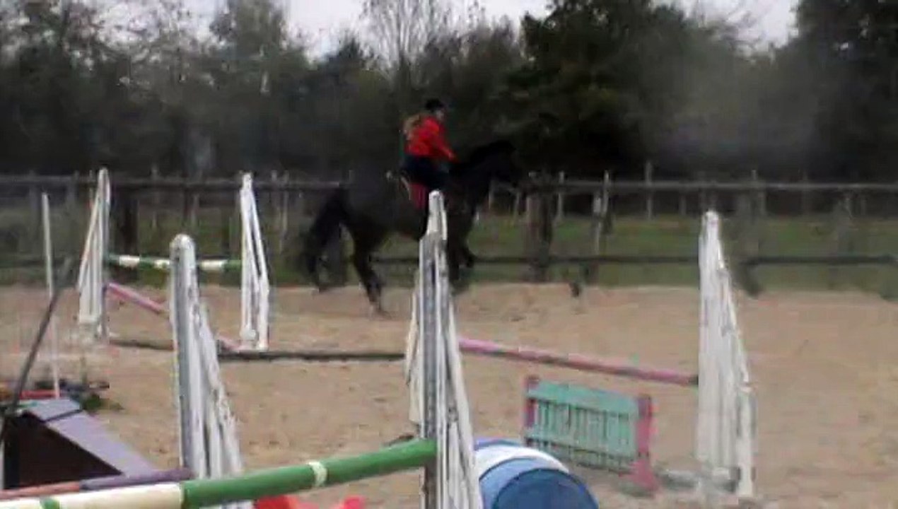 Obstacle Novembre 2014