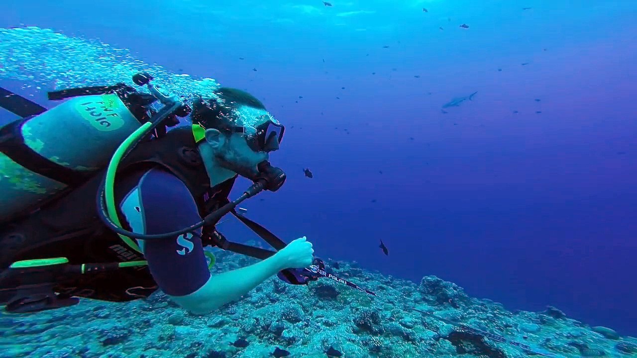 Blue Corner_HD