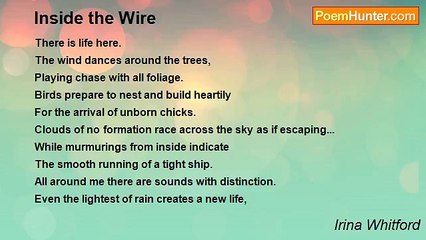 Irina Whitford - Inside the Wire