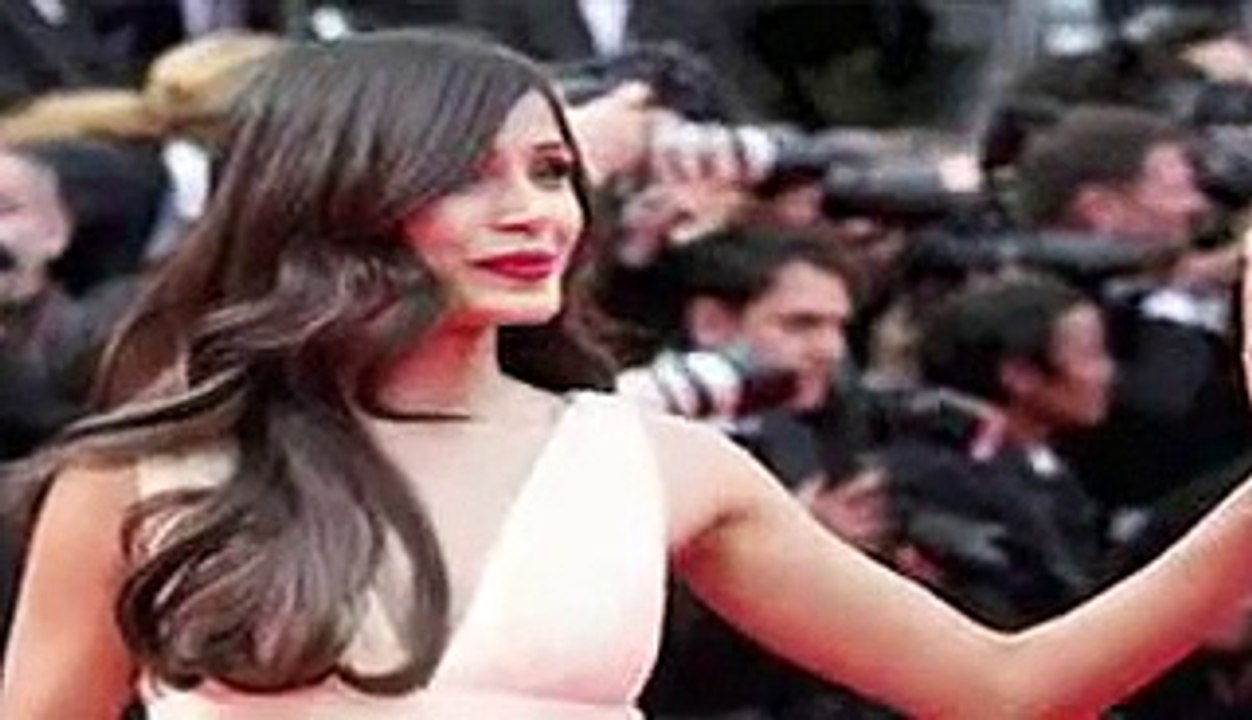 bollywood daily updates