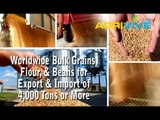 Acquire Bulk Soybeans for Exporting, Soybeans Exporters, Soybeans Exporter, Soybeans Exports, Export, Export