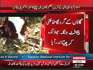 Cheeta attack on goats in Islamabad
