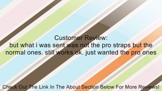 Animal Pro Lifting Straps Review