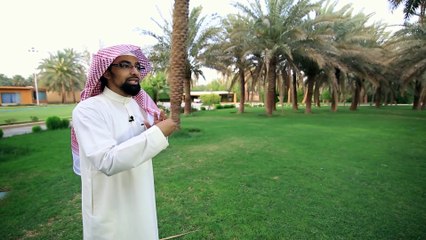 تغريدات قرانية كيف نتدبر