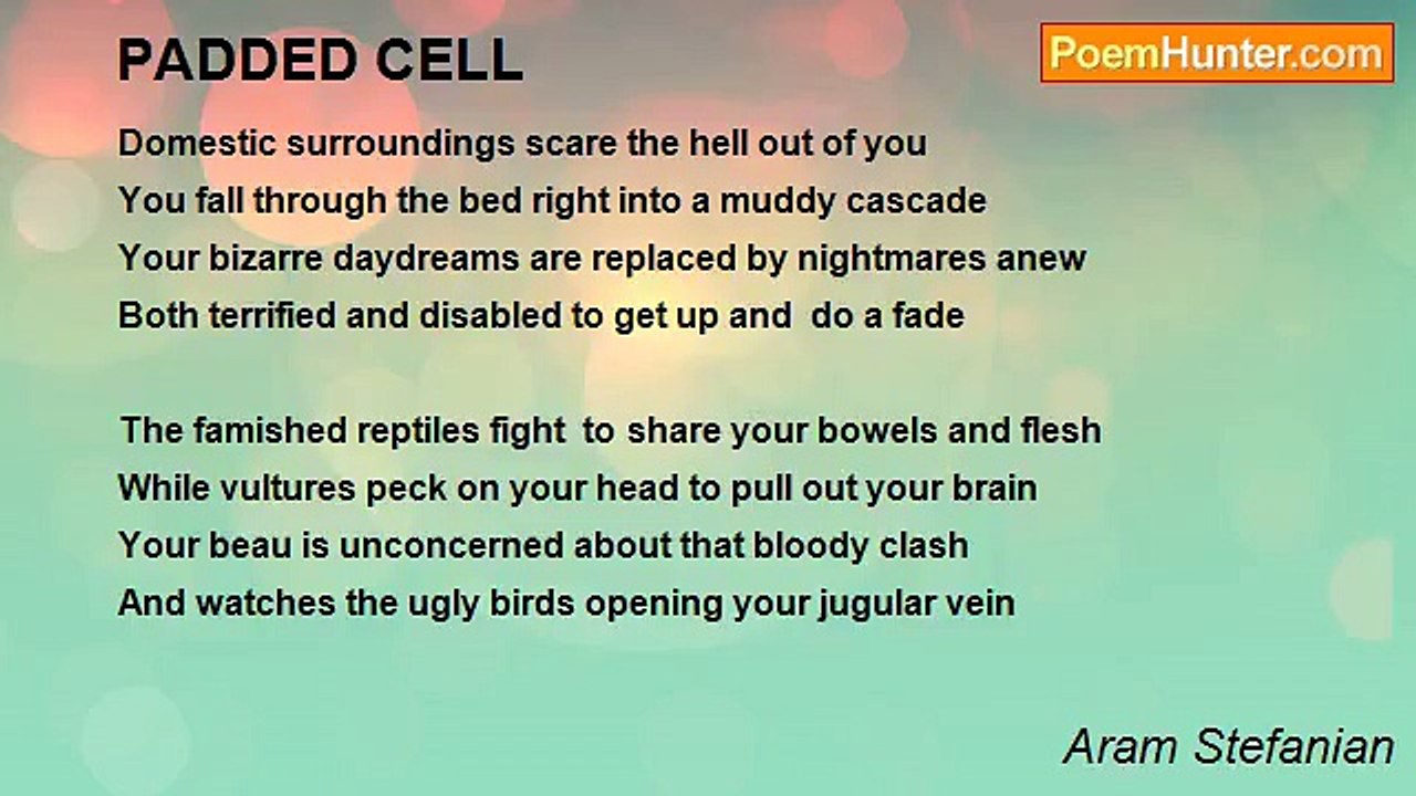Aram Stefanian - PADDED CELL