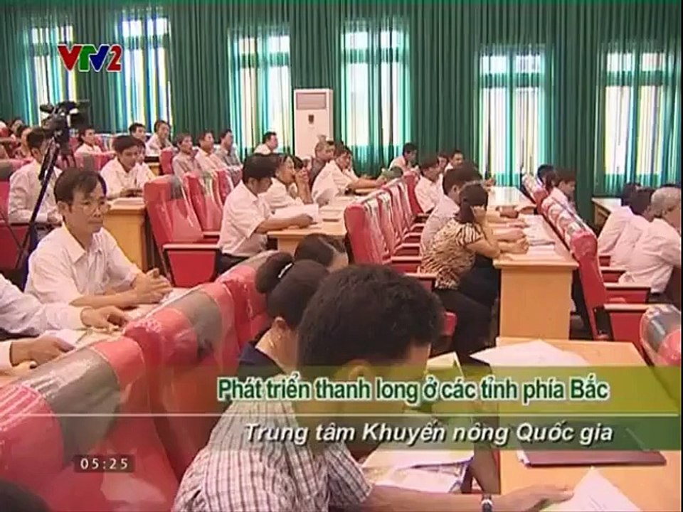 Biện pháp bổ sung dinh dưỡng cân đối cho cây cà phê