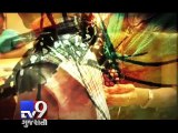 Dengue outbreak in Mumbai kills 12 - Tv9 Gujarati