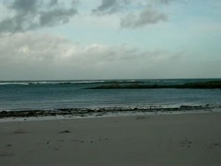 ILE DE BATZ VUE AU LARGE GREVE BLANCHE