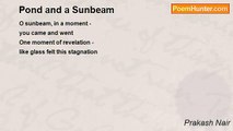 Prakash Nair - Pond and a Sunbeam