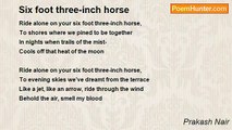 Prakash Nair - Six foot three-inch horse