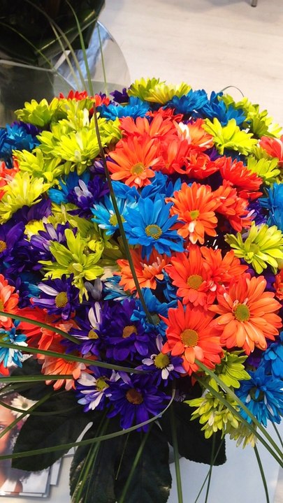 Rengarenk Krizantemler