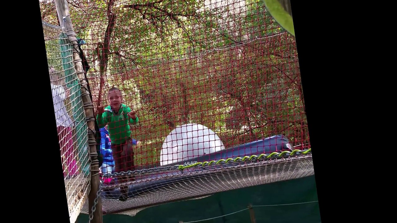 Le bois des lutins :)