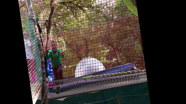 Le bois des lutins :)