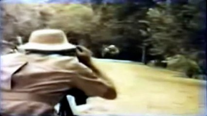 1969 Dodge Monaco Commercial