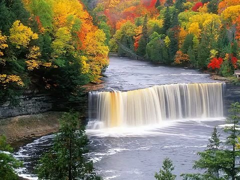 Relaxation music , meditación Chinese Bamboo Flute Yoga, Natural sounds