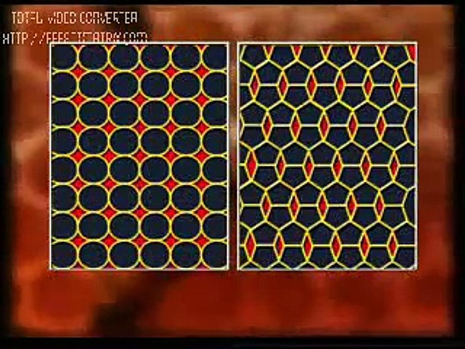Arı Ve Arıcılık Hizmetleri'nin Videoları ARILARIN SIRRI
