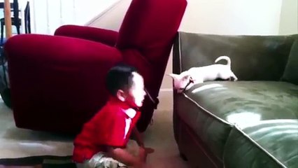 [+18 ~ Sexy Funny Girl]Puppy And Toddler Communicate