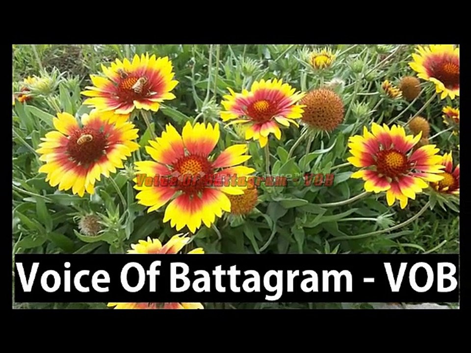 Battagram: Watch the Stupendous, Stunning, Amazing and Natural Beauty of District Battagram, Hazara, Pakistan.......(VOB News)