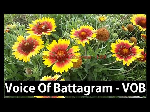 Battagram: Watch the Stupendous, Stunning, Amazing and Natural Beauty of District Battagram, Hazara, Pakistan.......(VOB News)