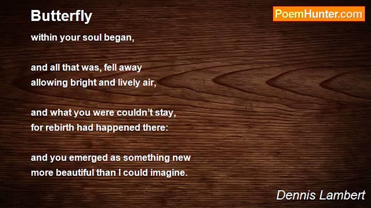Dennis Lambert - Butterfly