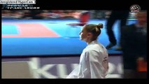 22nd WC karate Bremen 2014 финал женщины 68 кг