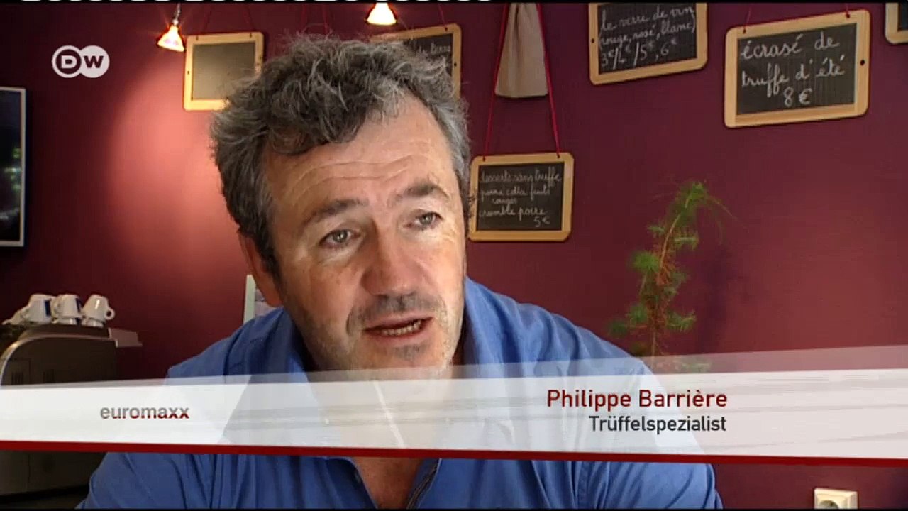 Reiseziel Carcassonne in Frankreich | Euromaxx