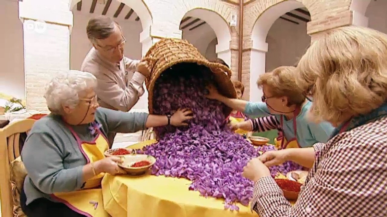 Zur Safran-Ernte in Spanien | Euromaxx